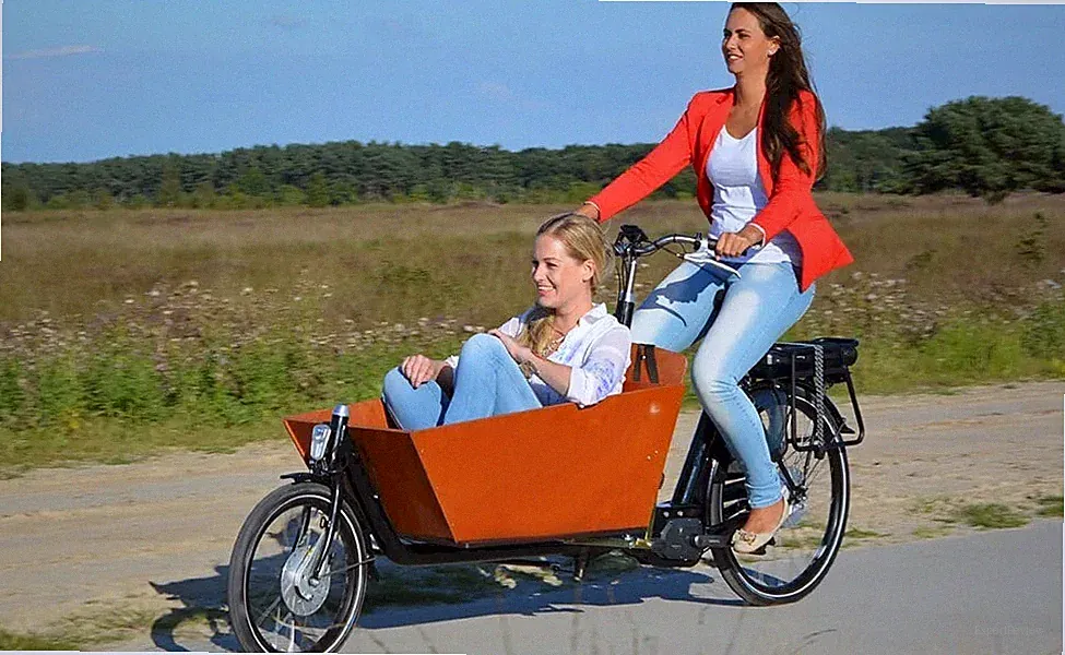 Bakfiets family cargo bike bicycles - urban arrow front loader e-cargo bike